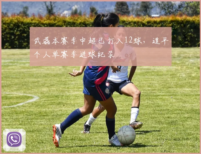 武磊本赛季中超已打入12球，追平个人单赛季进球纪录